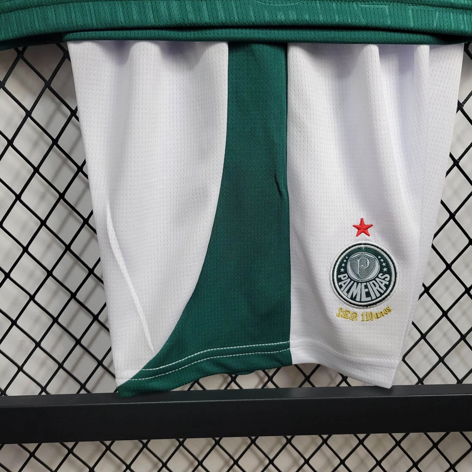 Conjunto Infantil Palmeiras Titular 24/25