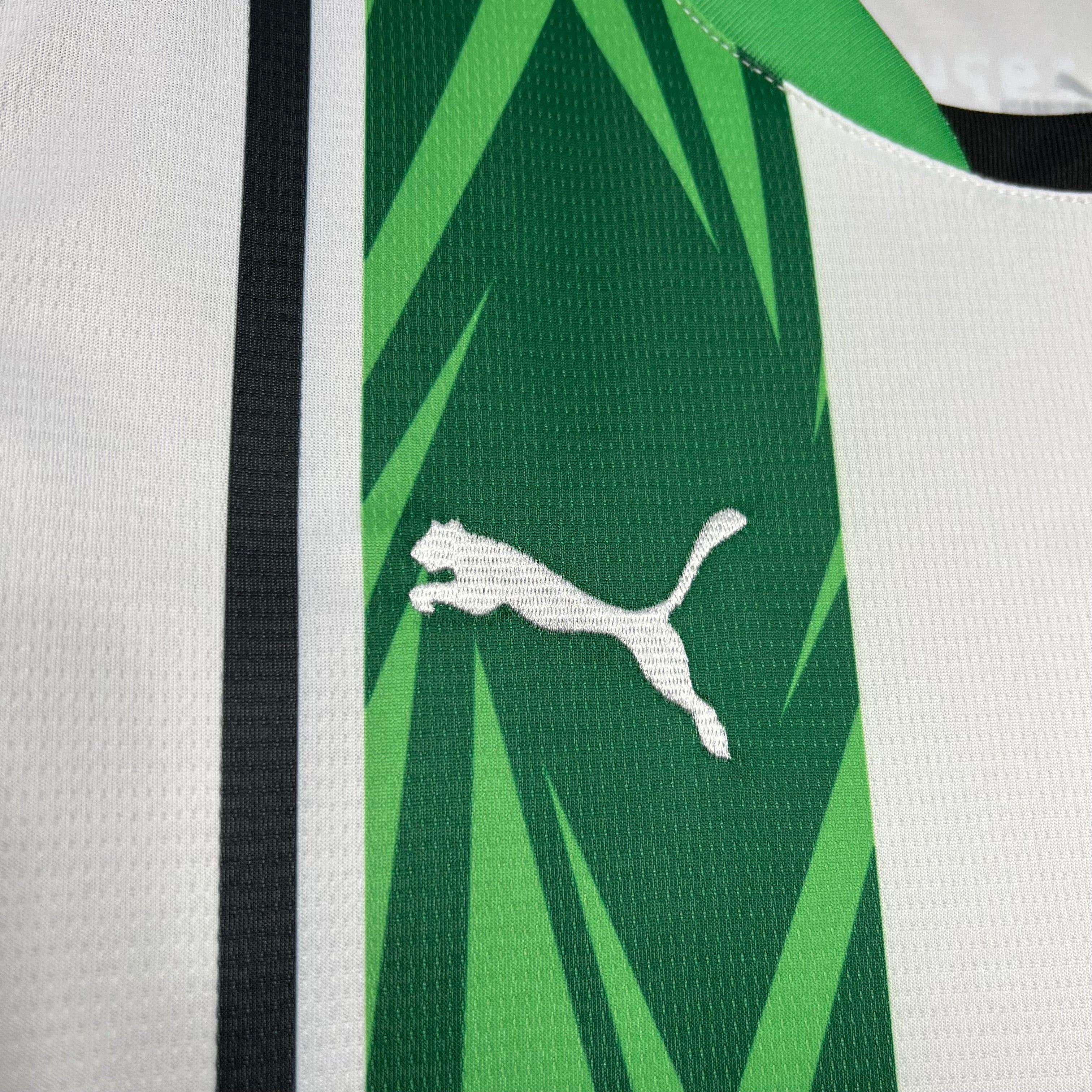 Camisa Borussia Monchengladbach Home 24/25 - Puma Torcedor Masculina